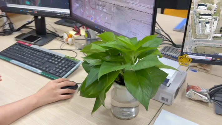 Potted green plant on office desk next to keyboard, monitors, and hand using mouse.