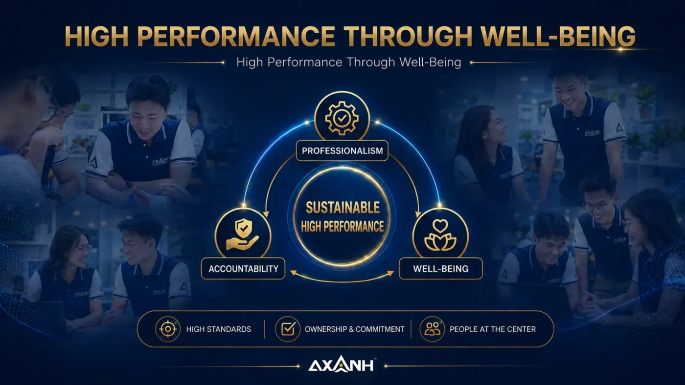 High performance through well-being framework connecting professional standards, accountability and sustainable performance