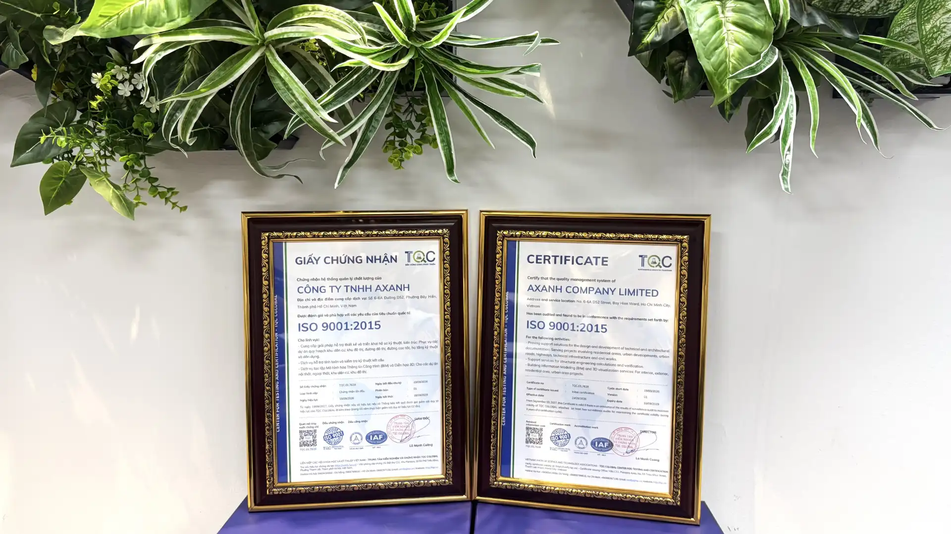 Hai giấy chứng nhận ISO 9001:2015 của Công ty TNHH AXANH bằng tiếng Việt và tiếng Anh.